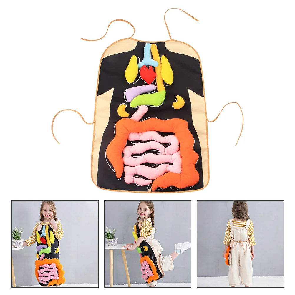 Орган-игрушки обучающий фартук ремесло анатомия детские образовательные