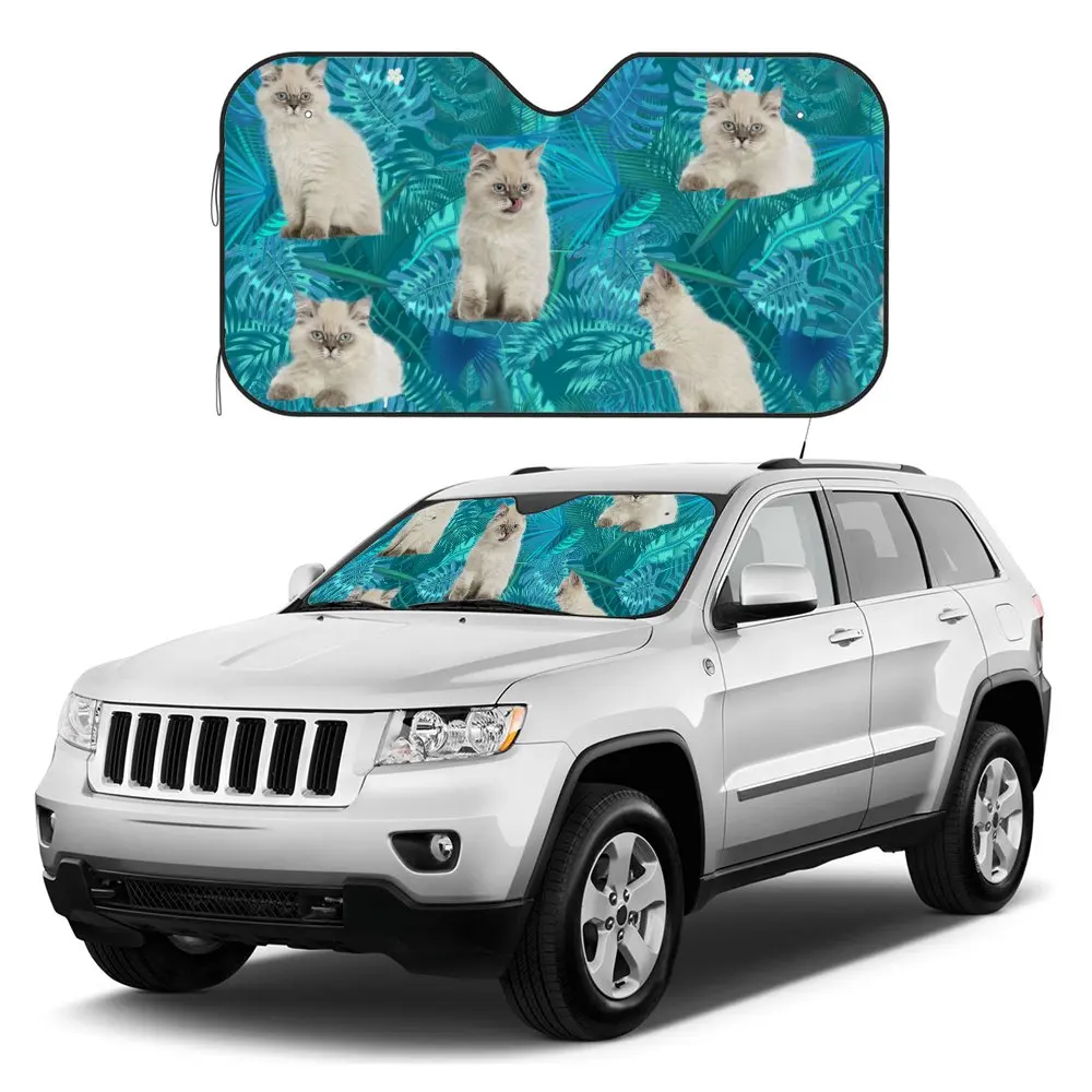 Длинношерстный котенок для вождения автомобиля салон переднего лобового стекла