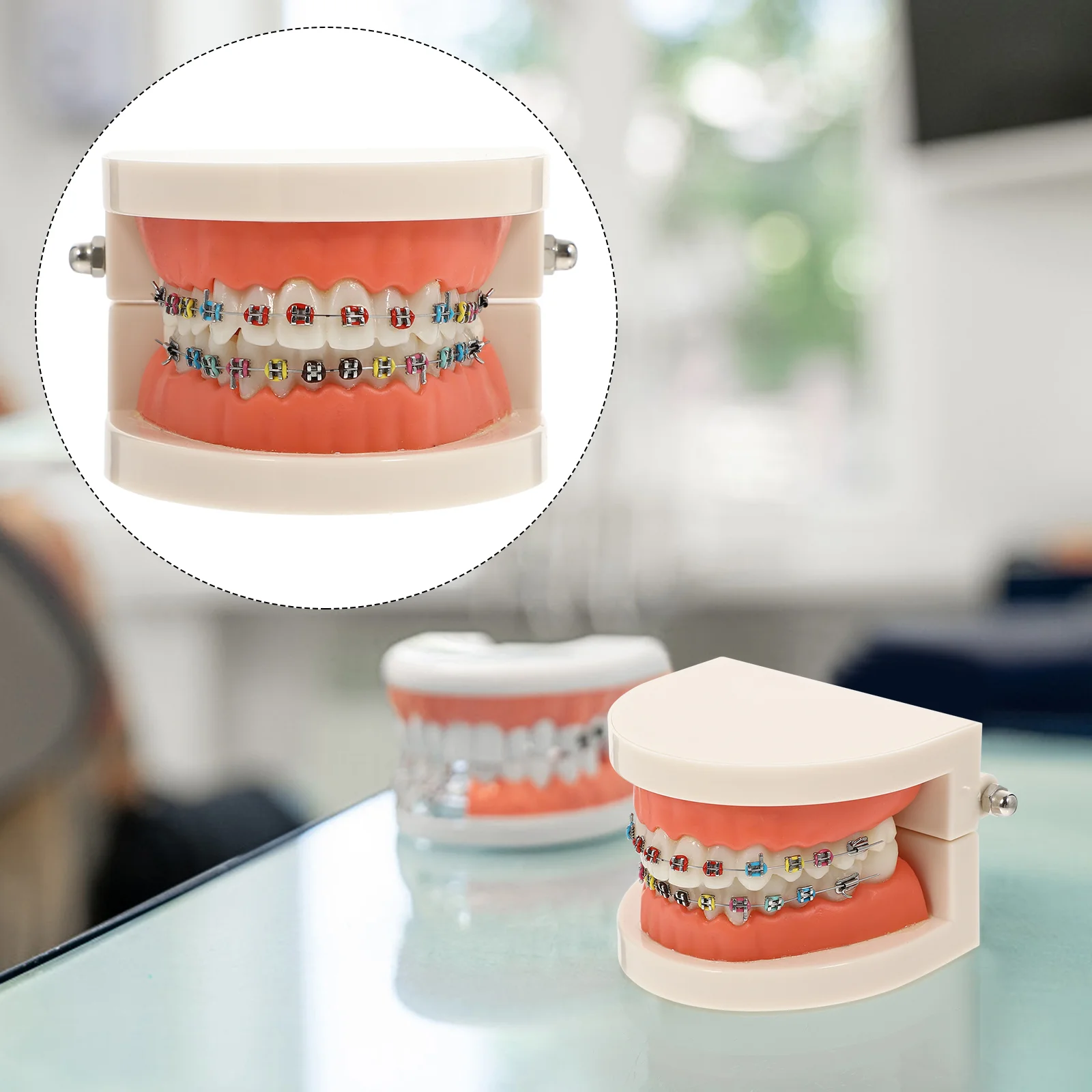 

Model Teeth Teachingstandard Typodontmode Bracketexplaining Study Suppliesremovable Brushing Studying Oral Practice Education