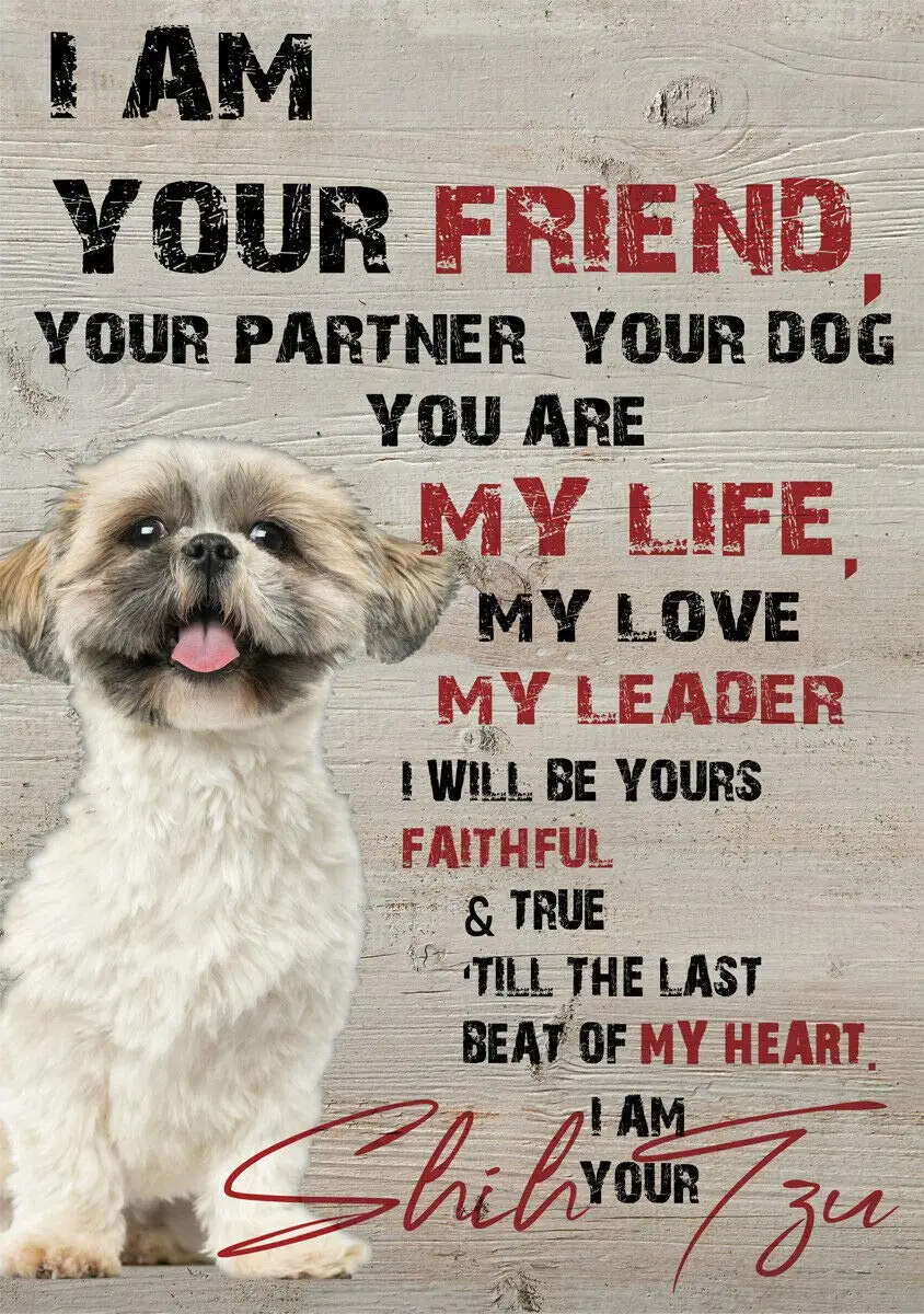 

Shih Tzu Dog I'm Your Friend Partner,Distressed Rusty Look Tin Sign Metal Sign for Cabin Lodge Farmhouse Ranch Warning Decor