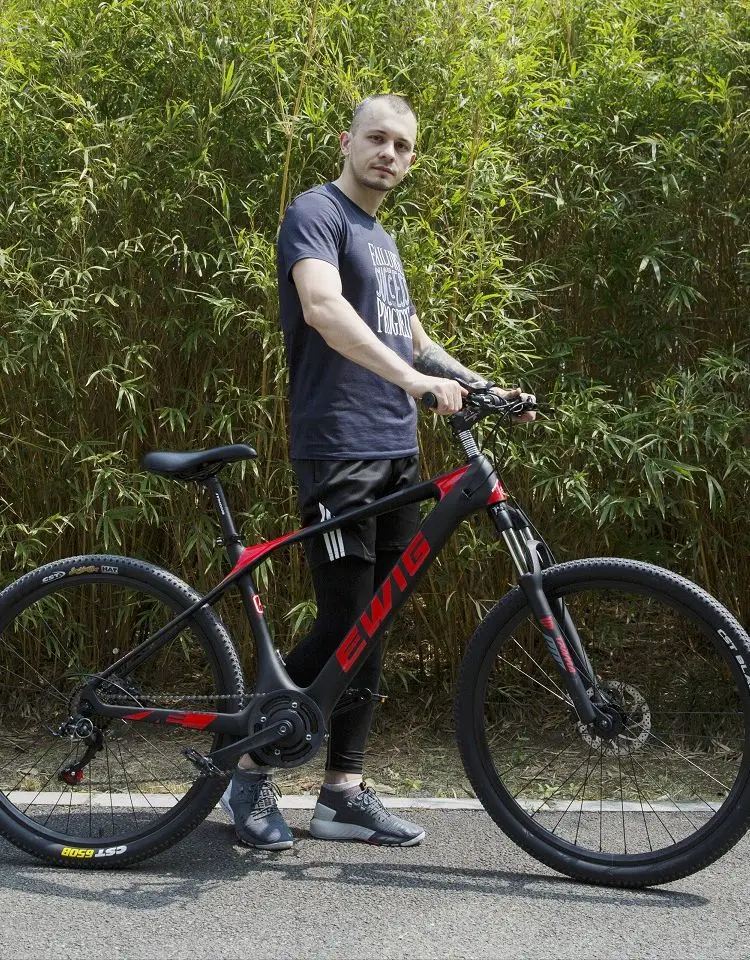 EWIG Factory Price Carbon E Bike 36V 7.8AH 250W 29er Inch Electric MTB Bicycle City |