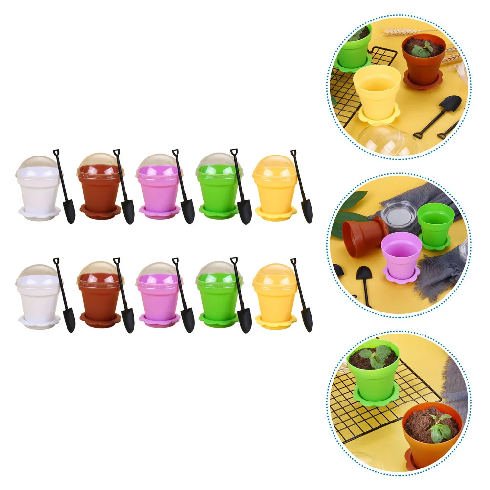 

10 Sets Dessert Cups Bakery Supplies for Storage Dessert Small Pots
