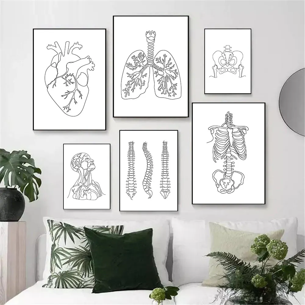 

Black And White Human Anatomy Canvas Art Painting Skeleton Spine Poster Heart Lung Print Minimalist Wall Pictures Clinic Decor