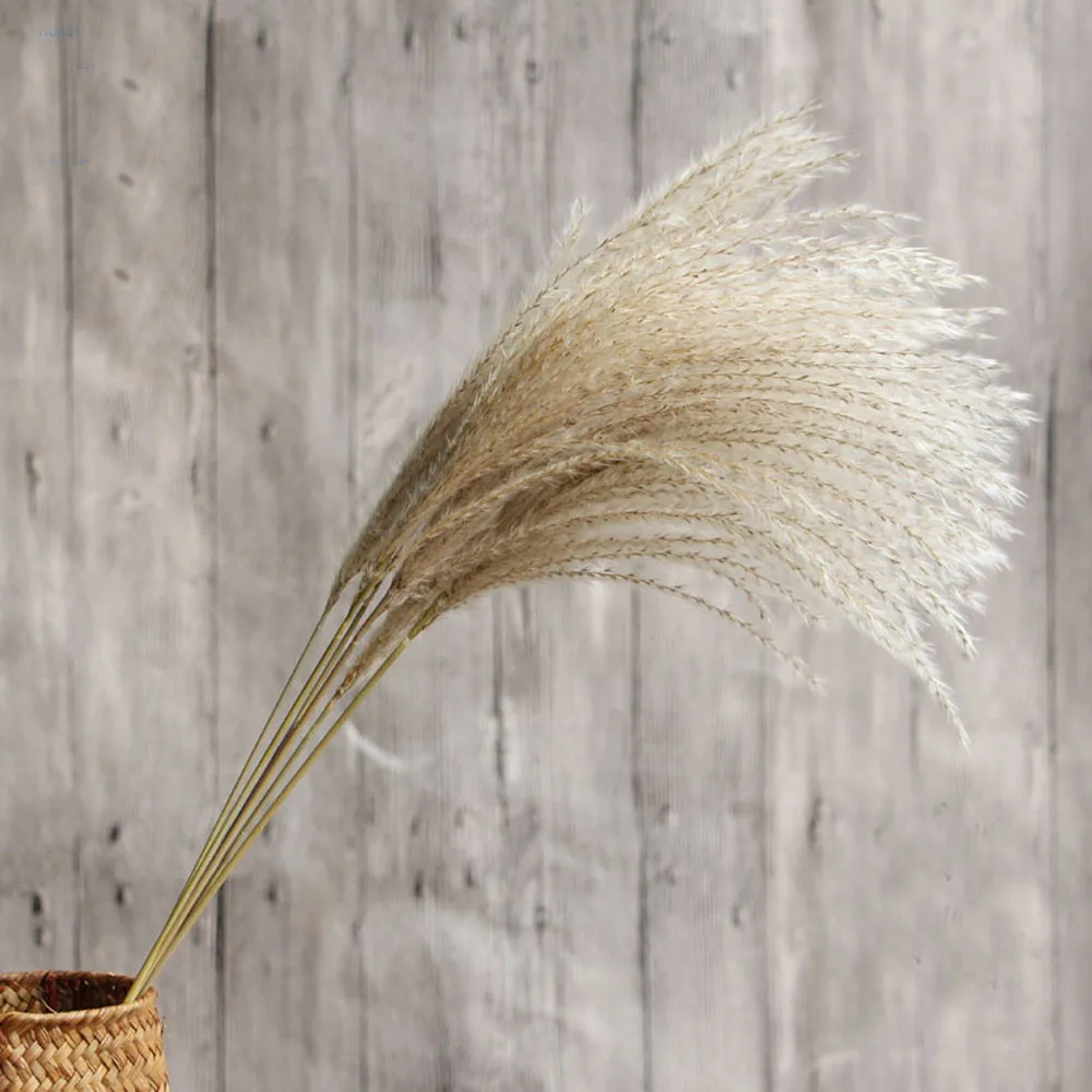 

Dried Flower Bouquets Natural Dried Reed Flowers Bulrush Flowers Phragmites Flowers For Wedding Party Table Centerpiece Decor