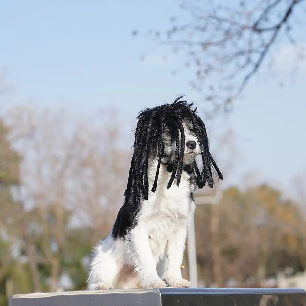 

Dreadlocks Cool Pet Dog Cat Wig Costume Black Mane Clown Accessories Dog Wig Cosplay Wig Hat Long Hair Cap Dog Pet Headgear D7H3
