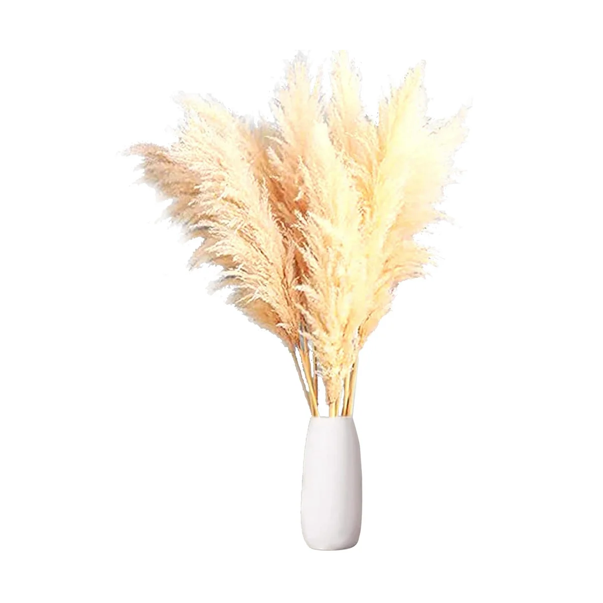 

Сушеная пампасная трава с 12 стеблями, высокие пушистые, наполнители для ВАЗ, для офиса, свадьбы и мероприятий