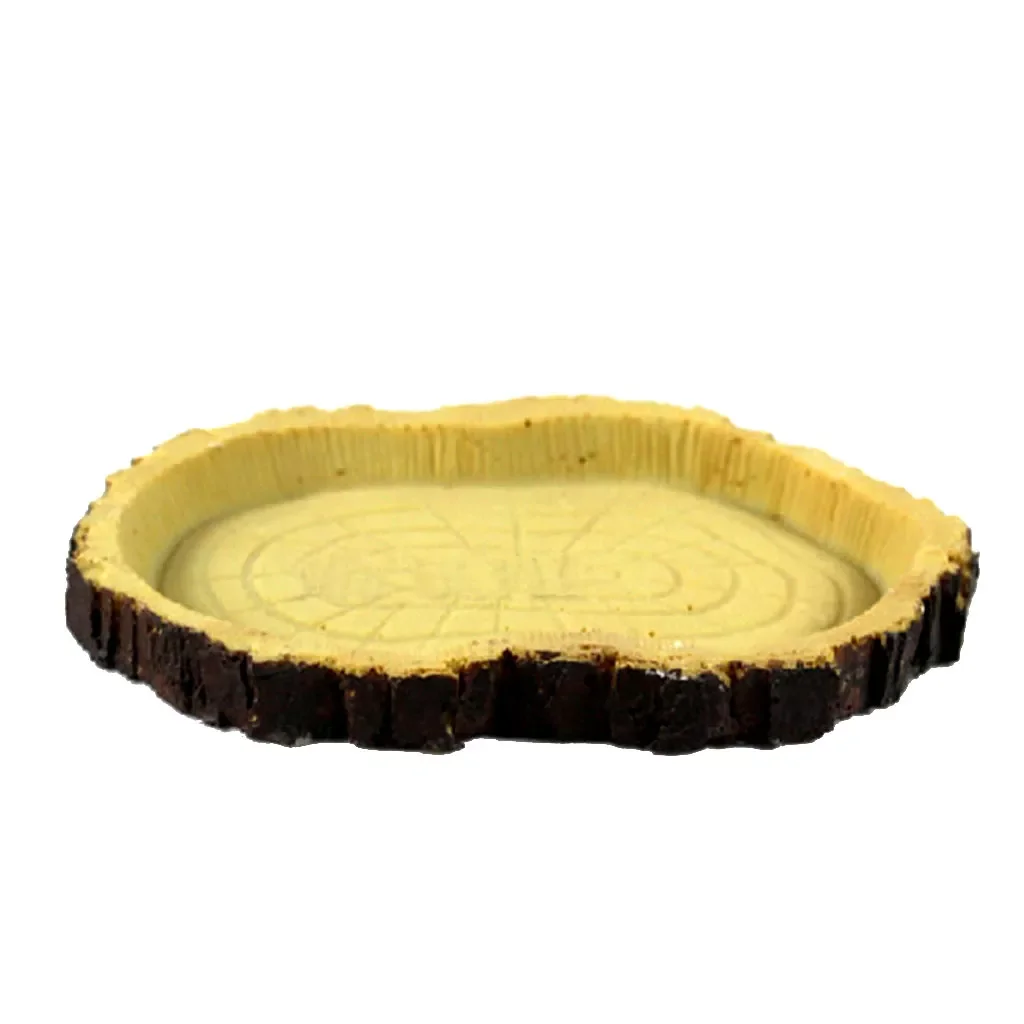 

Food Water Dish Nontoxic Resin Feeding Bowl for Reptile Small Animal