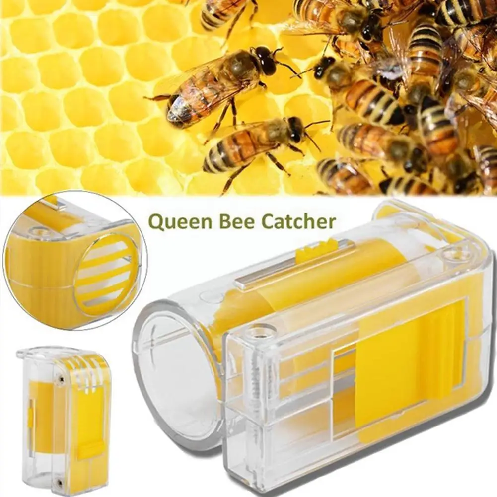 

1Pcs Bee Queen Marking Catcher Plastic One Handed Bottle Queen Beekeeper Beekeeping Bee Tool Plunger Plush Supplies Catcher Y9O2