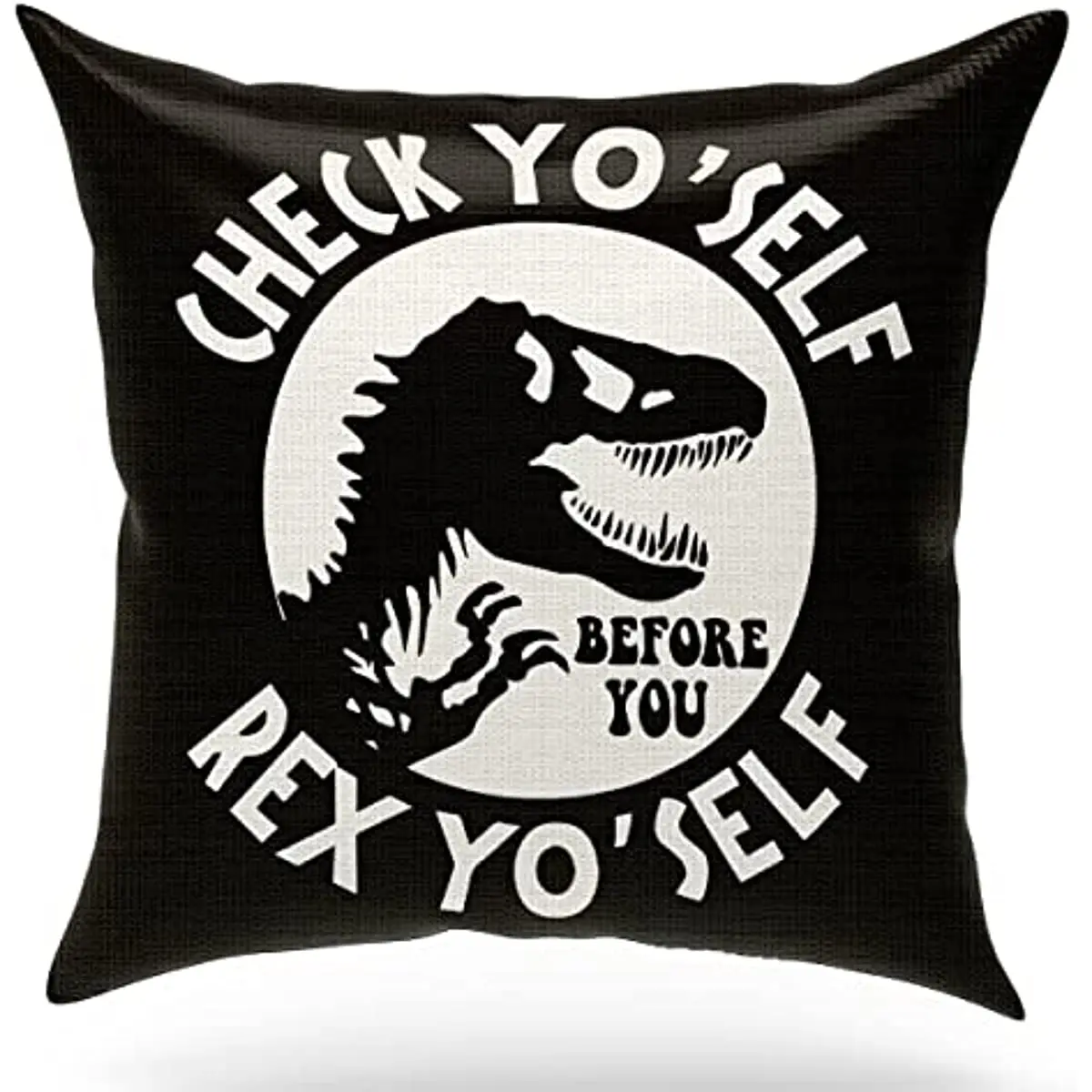 

Dinosaur Gift for Boys and Girls, Pillow Case Cushion for Couch Sofa Bedroom Living Room Nursery Home Decor 18x18 Inch