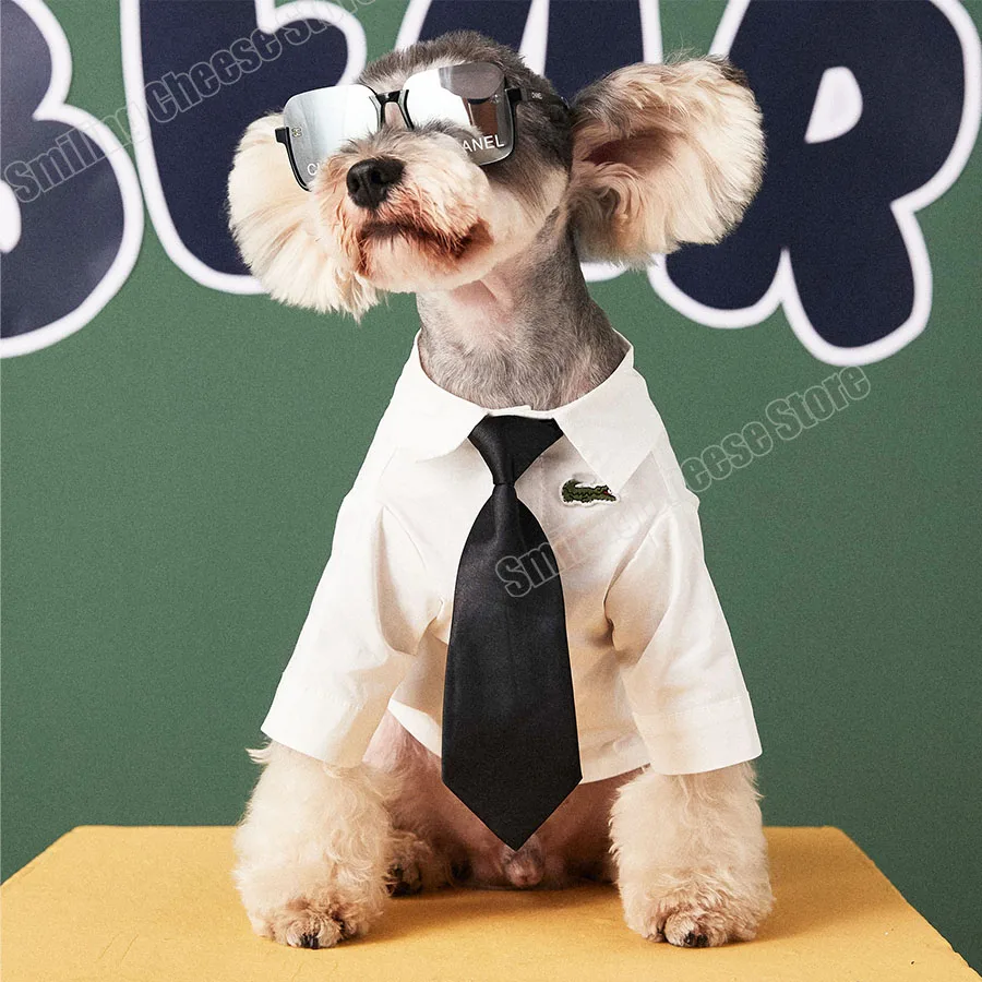 

Classical Pet Cotton White Shirt Office Wear for Dog for Schnauzer Shiba Bichon Corgi Frenchbull Pug Small Middle Sized