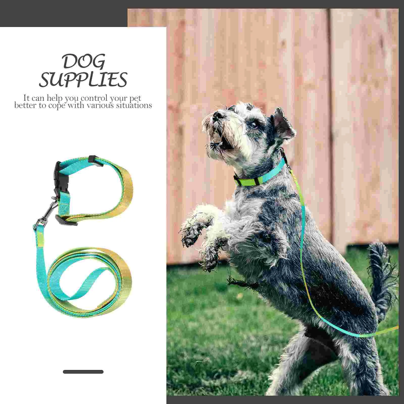 

1 Set of Adjustable Dog Leash Comfortable Dog Collar Pulling Rope Pet Traction Rope Dog Supplies