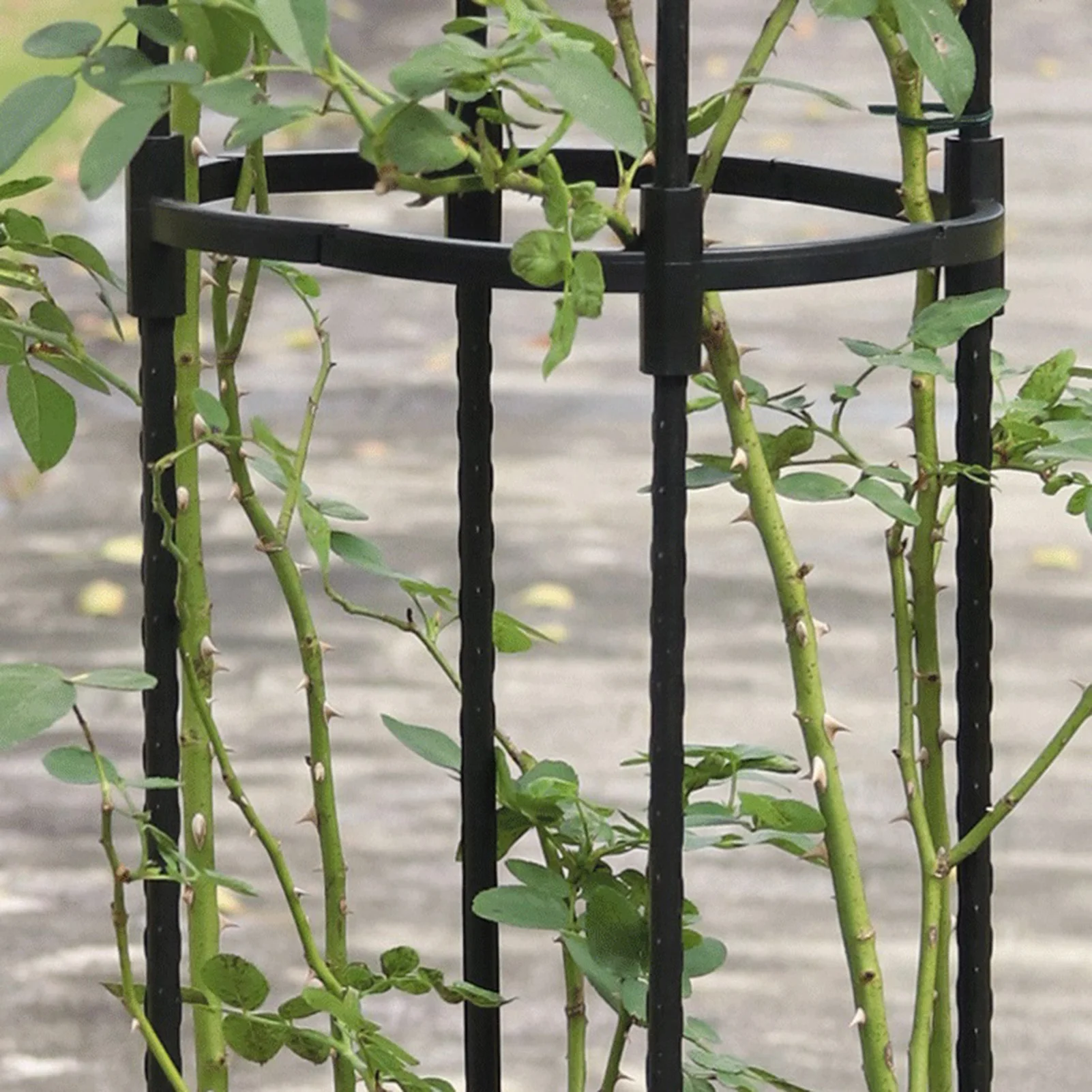 1PC Iron Garden Obelisk Climbing Plant Flowers Steel Frame Trellis Vines Floral Decor Yard Round Weather-Proof Brand