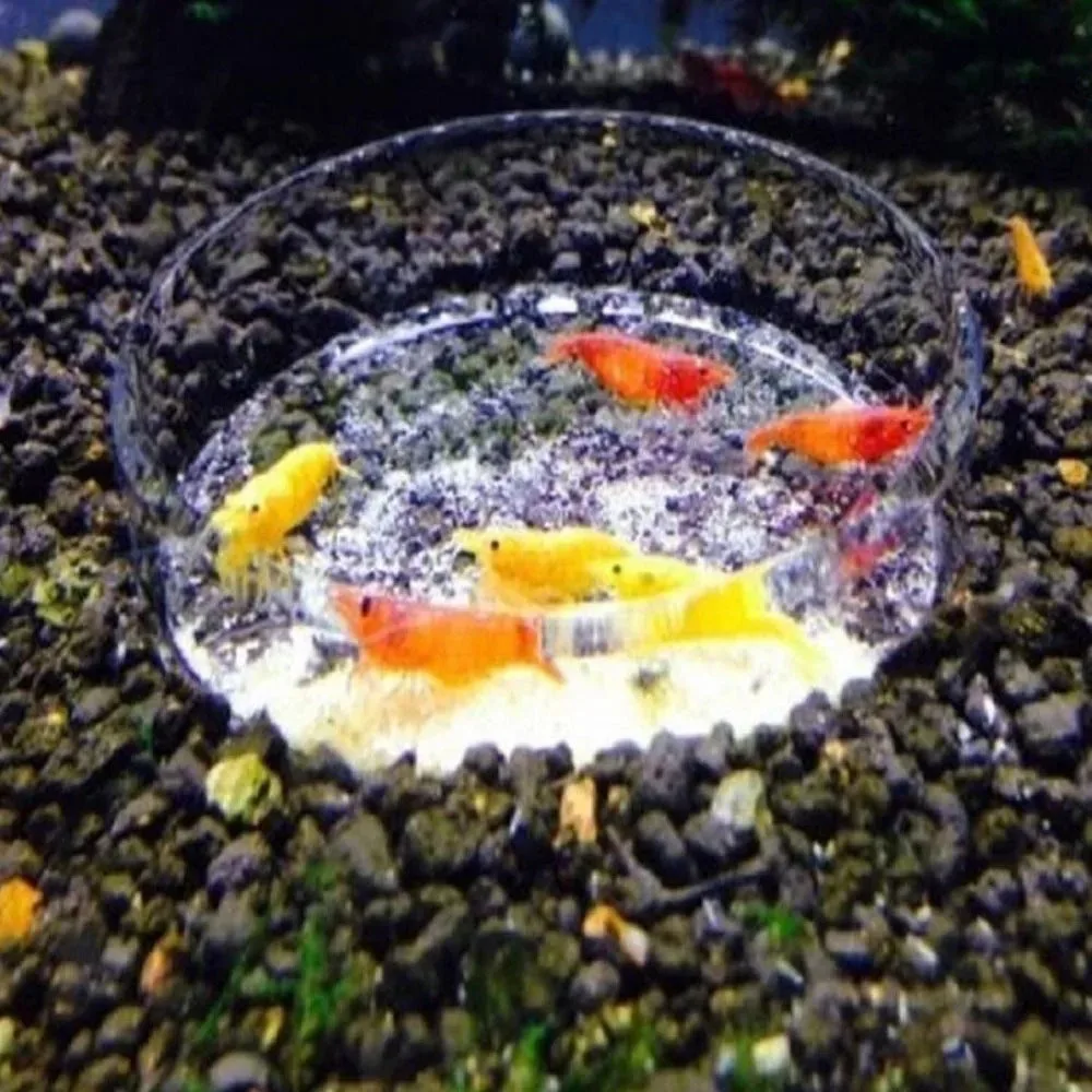 Прозрачная Кормушка Для Аквариумных Рыбок Круглая Чашка Из Водорослей Плавающая