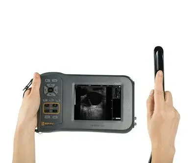 BMV Farmscan L60 свинья крупный рогатый скот корова рогатое ветеринарное оборудование