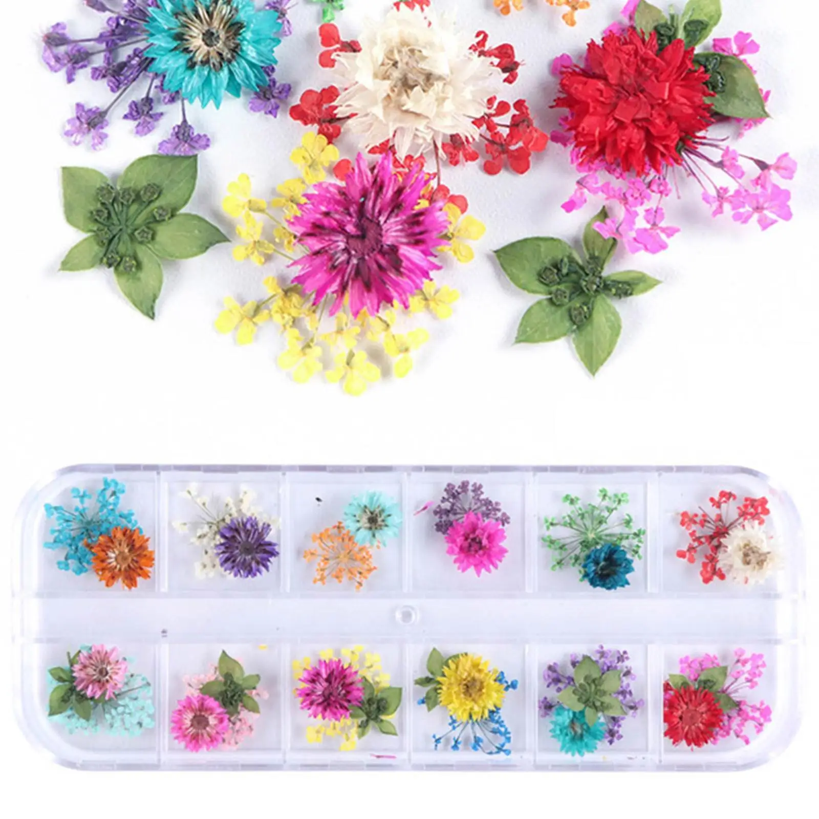 

6 Style Dried Flowers Nail Decorations Natural Floral Sunflower Daisy Stickers 3D Nail Art Designs Polish Manicure Accessories