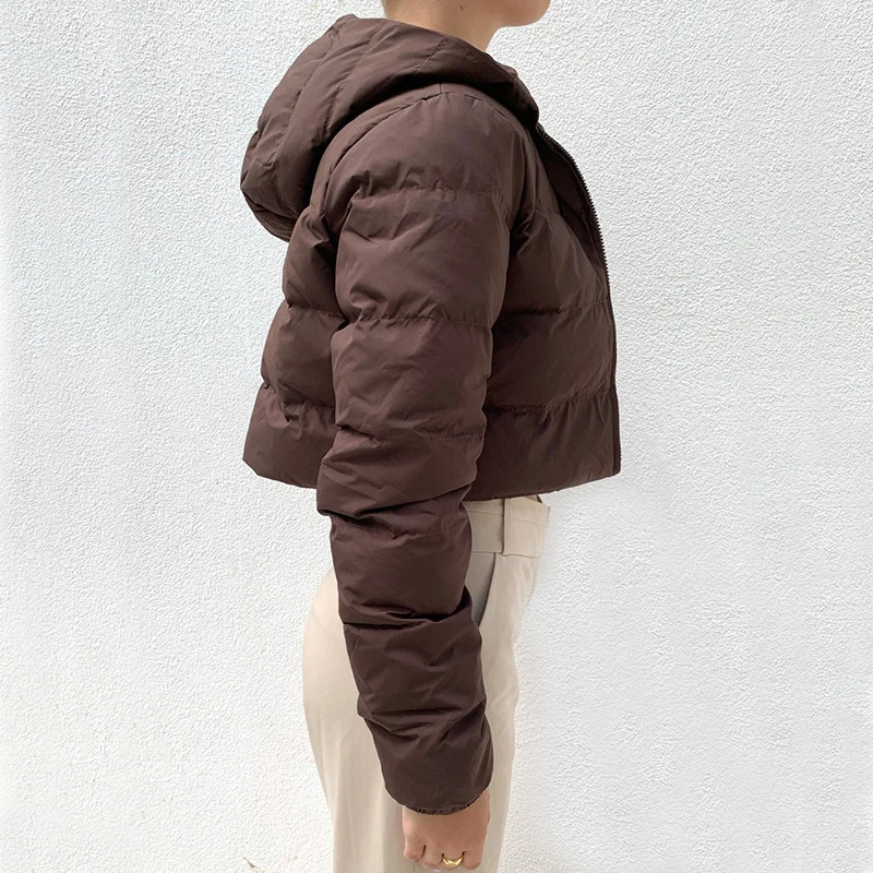Street Fashion Bubble Coat Standard Collar Oversized Short Jacket Brown 2021 New Winter Autumn Female Puffer Jacket Parkas Mujer