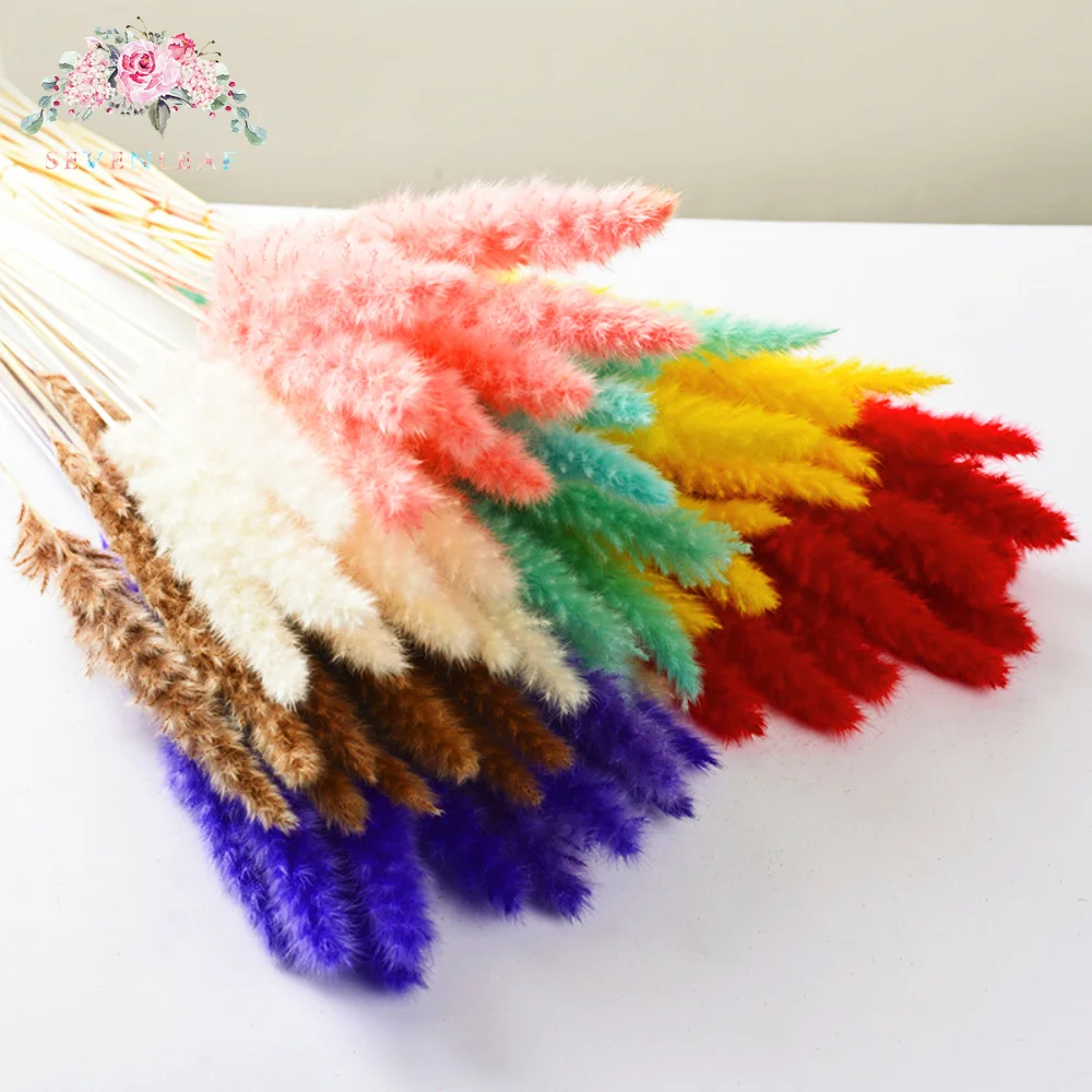 

15PCS Natural Bulrush Dried Flowers Reed Grass Small Pampas Grass Phragmites Plant Wedding Bouquet Home Decor Flower Arrangement