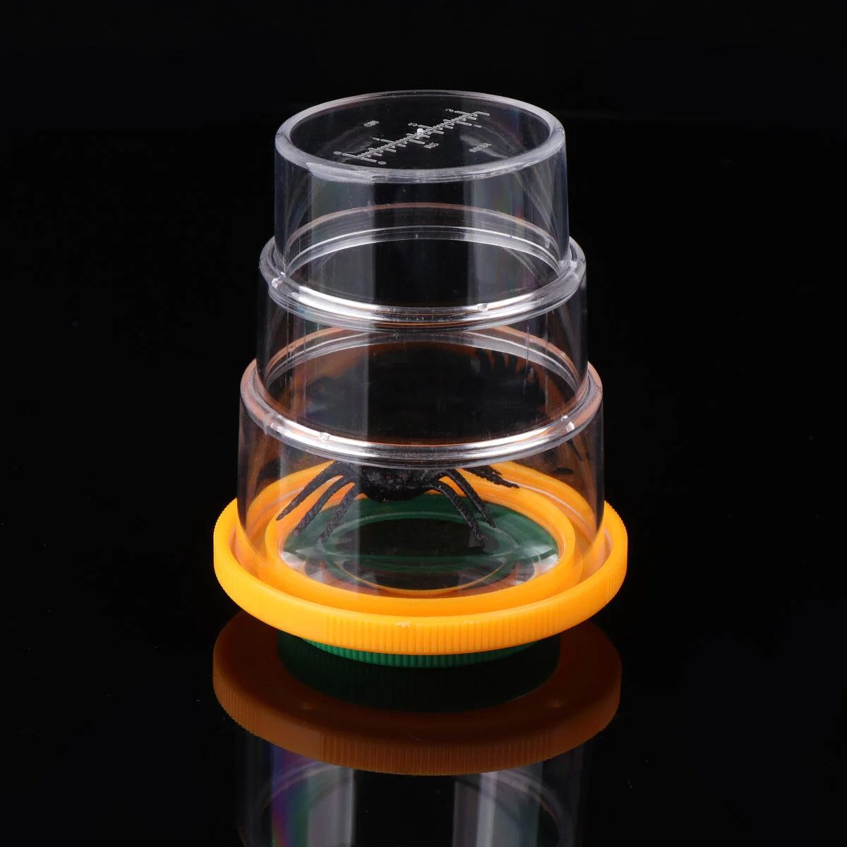 

3 PCS Insect Viewer Toy Observer Kids Exploration Magnifier Child Childrens Toys