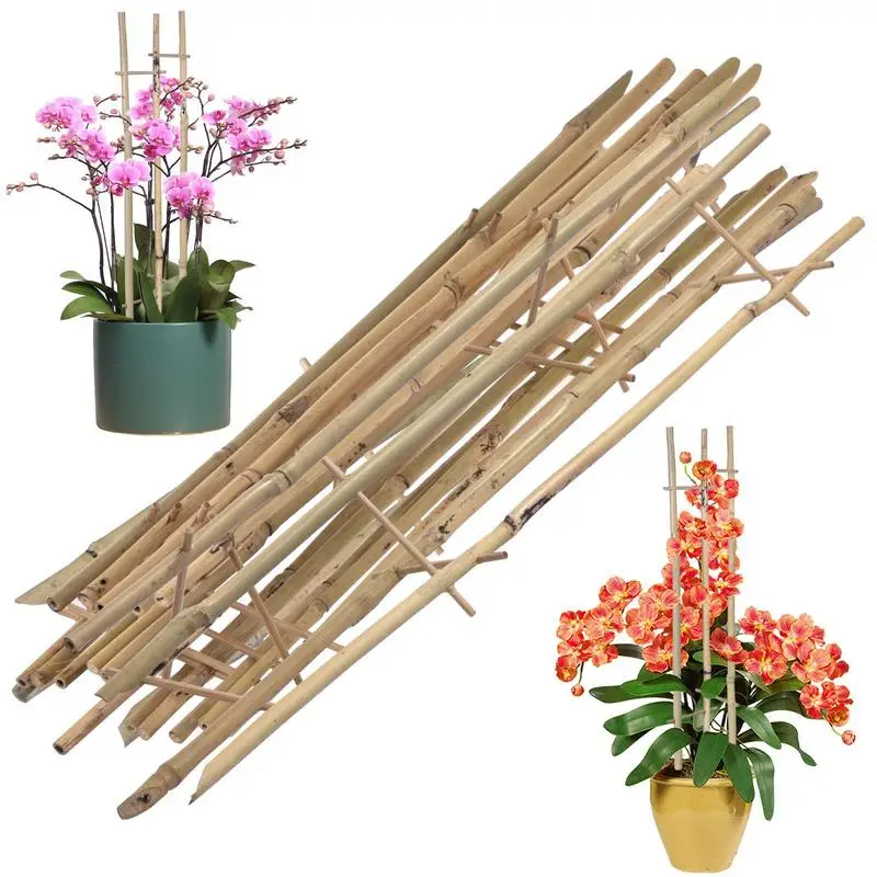

10 шт. бамбуковые решетки для растений, натуральные бамбуковые стойки для растений, подставка для цветов, садовые инструменты и оборудование...