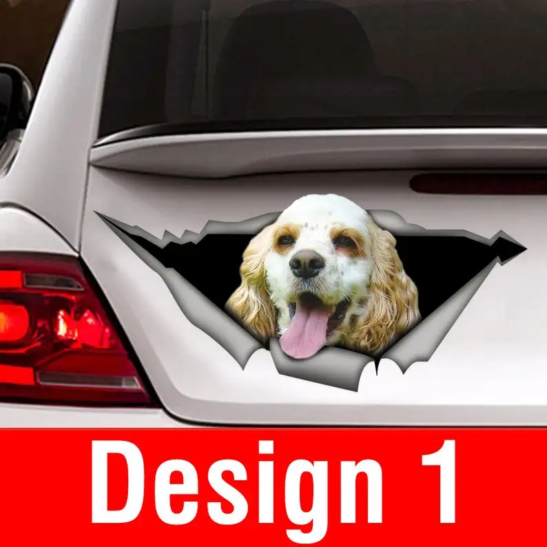 

STICKER/ White tan cocker spaniel, dog car decal, car decoration, pet decal, dog sticker