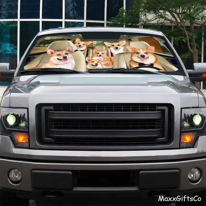 Рисунок 3 - Автомобильный солнцезащитный козырек Corgi