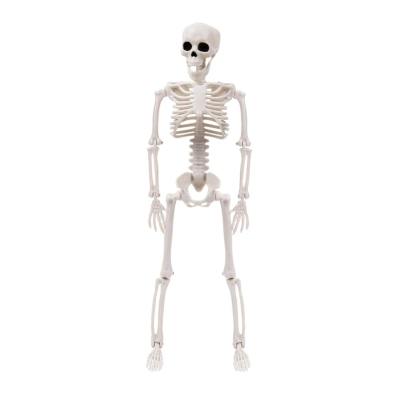 

Perfect Halloween Skull Scene Decor for Party Hosts and Bar Owners