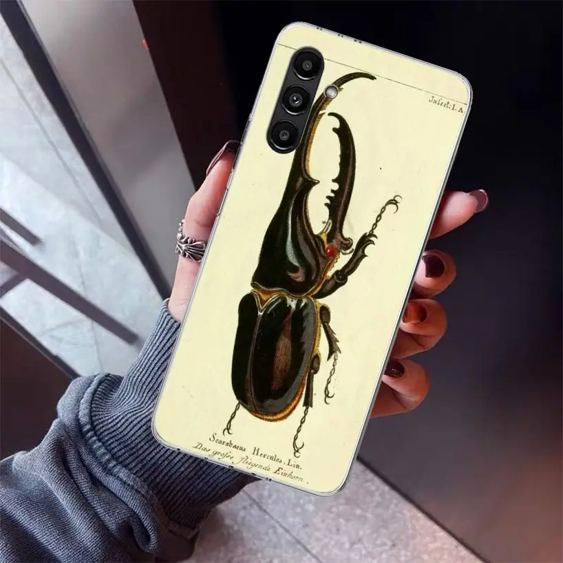 Фото Чехол для телефона Bugs Bees Scientific Decomposition для Samsung Galaxy A17 A16 A15 A14 A13 A56 A55 A54 A53 A36 A35 A34 A33 A26 A25 A24 №5