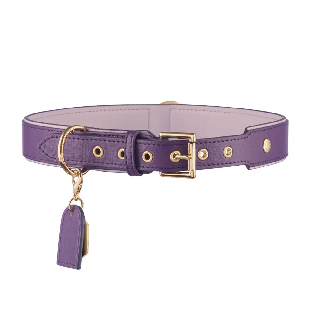 

Custom Outdoor Pet Cat Collar and Leash Set Luxury Vegan PU Leather Dog Collar