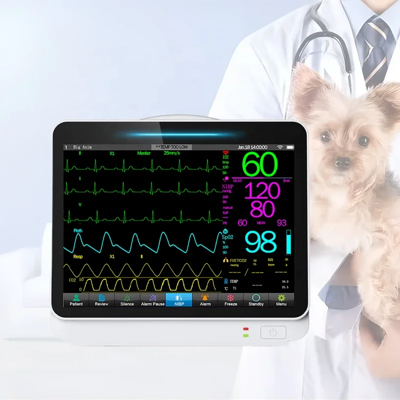 

10,1-дюймовый сенсорный экран для животных, медицинский монитор артериального давления, ветеринарная модель для домашних животных, больничной клиники