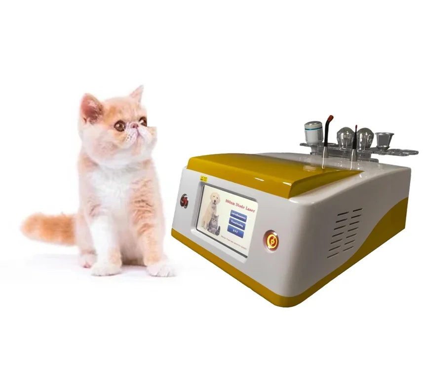 Портативное лечение ушей животных остеоартрит ветеринарное оборудование для