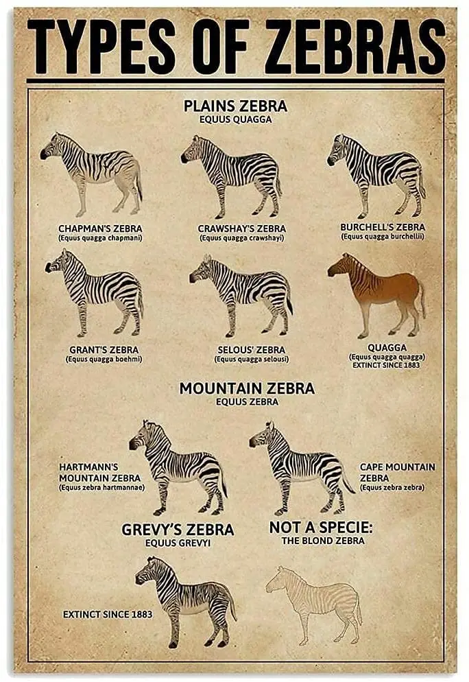 Цветные плакаты Greyhound из металла и олова для знаний о виде собаки фермы семейного