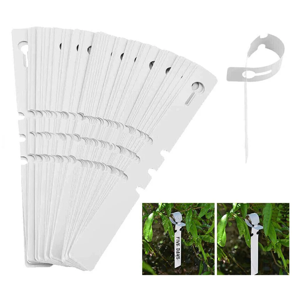 

Tags Plant Labels Tray Vegetable Waterproof White 200pcs Bonsai Flower Home Marker Nursey PVC Plastic Plate Garden High Quality