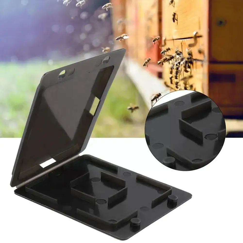 

1pc Beekeeping Insect Trap Capture Box Black Beetle Insect Capture Tools Nest Box Beekeeping Trap Square H2C3