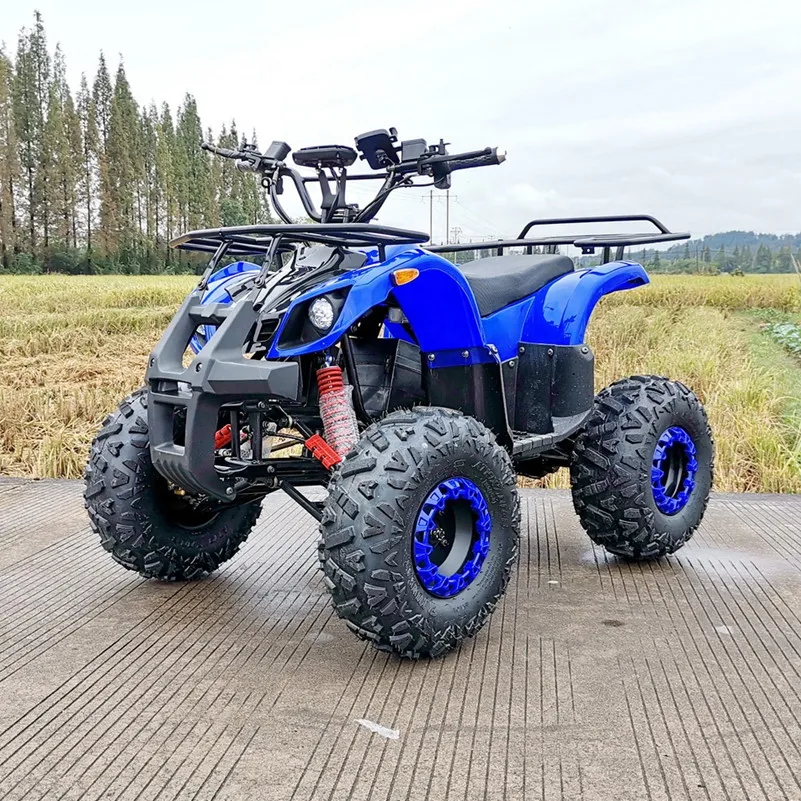 

New Min Electric Atv 4 Wheeler For Cheap Sale With CE Color Can Be Customized 48v 60v 72v 1000w 2000w Quad For Children&Adults