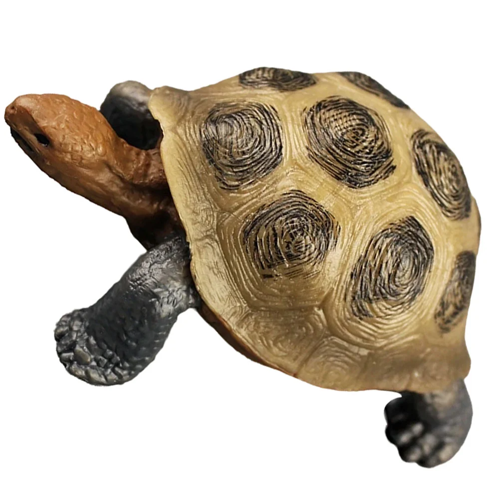 

Tortoise Sea Party Figure Animal Ocean Models The Beach Decorations Underwater Toy Lifelike Figures Life Animals Model Creatures