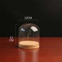 24 x dia12cm decorative clear glass cloche bell jar display case with rustic wood basetabletop centerpiece dome