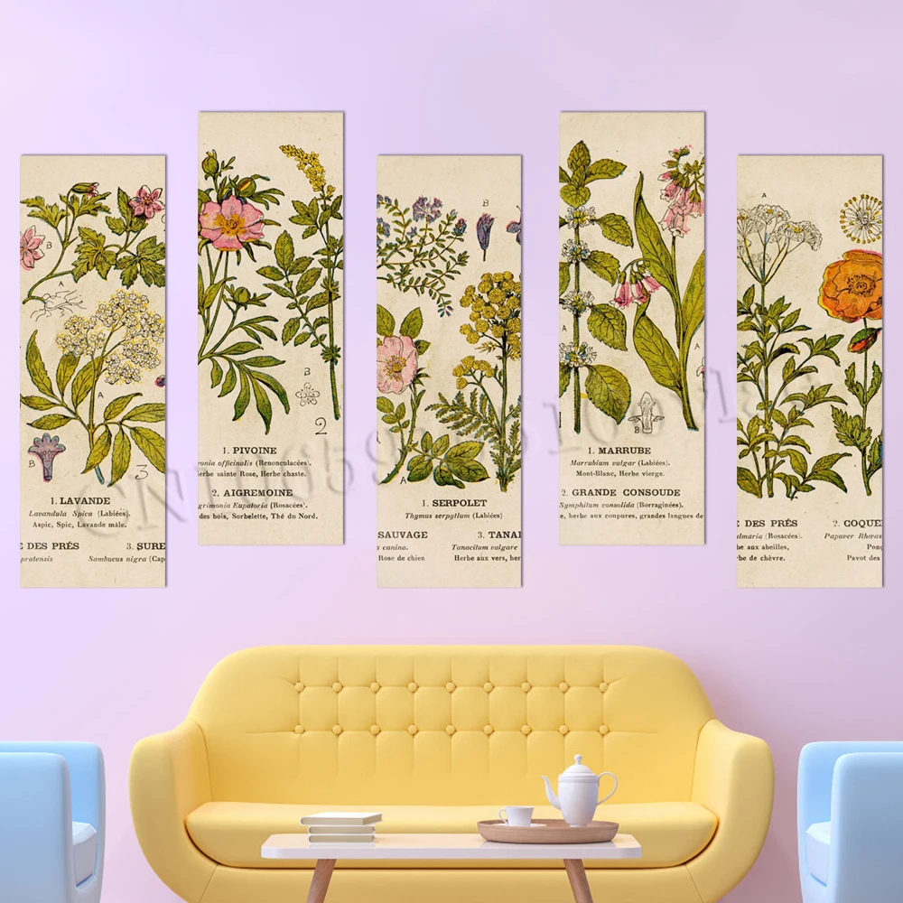 

Painting Wall Art HD Print Botanical Plates Poster Self-adhesive Wallpaper PVC Illustration Home Decor Pictures For Living Room