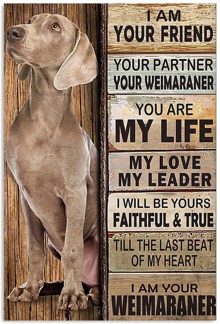 

Retro Dog Pet Meatl Sign Golden Retriever Border Collie Beagle Pet Doghome Bar Accessories Posters Garden Decoration Tin Plate