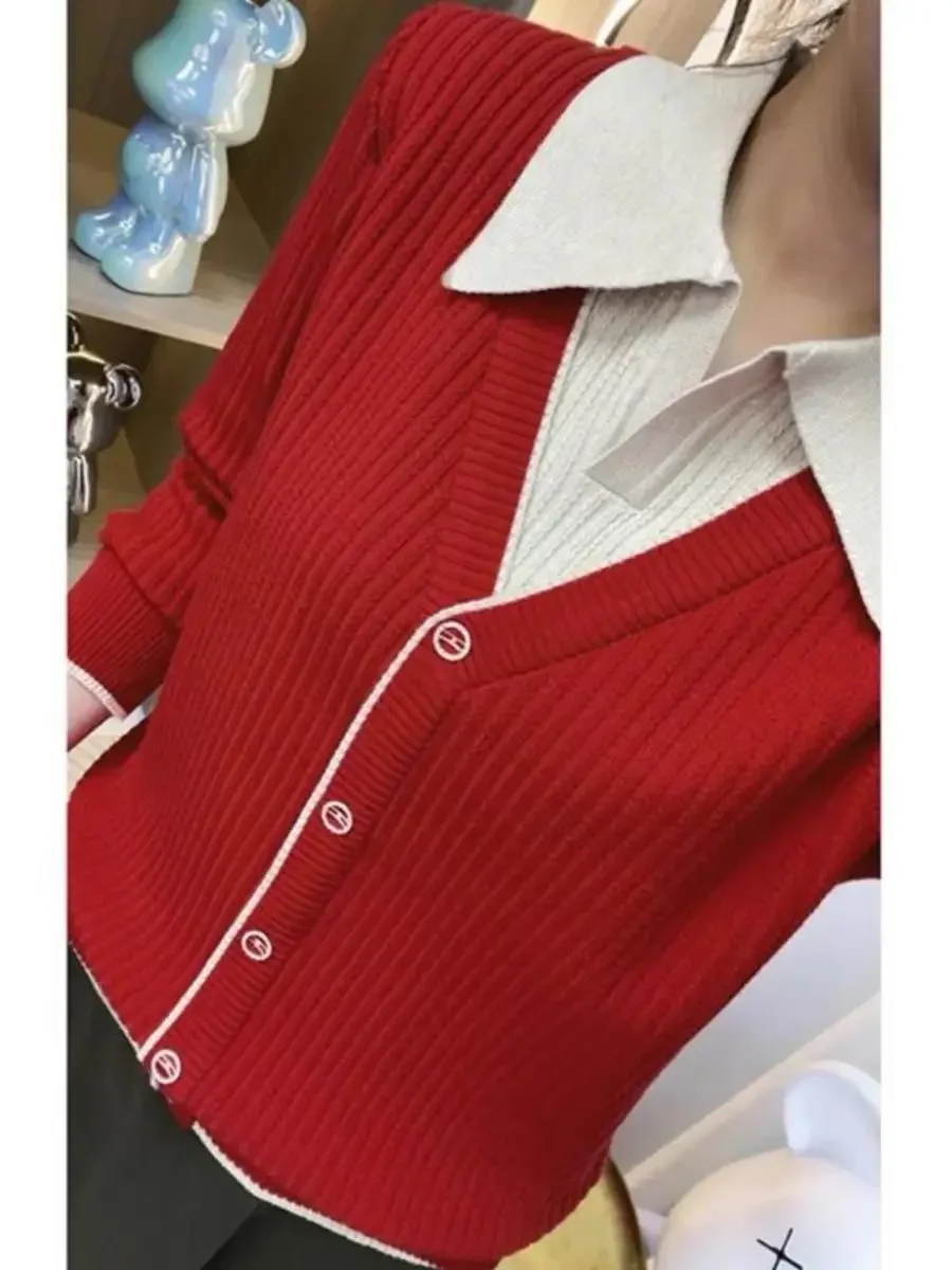 Поддельные два женских зимних новых стилей свободная верхняя одежда в западном