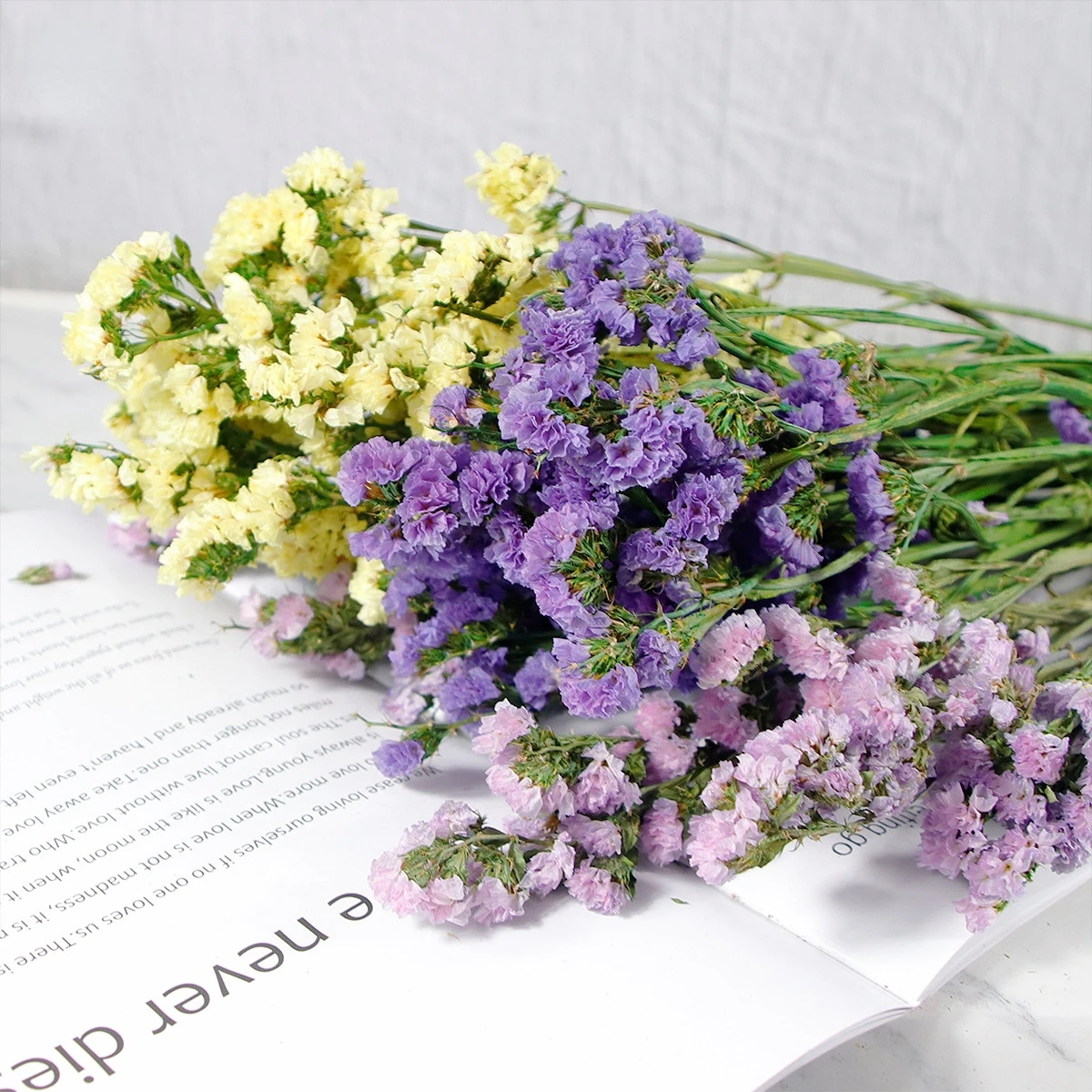 

Natural Real Dired Flower Bouquet Wedding Bridal Bouquet Do Not Forget Me Flowers Gifts Green Plants Decor For Home Bedroom
