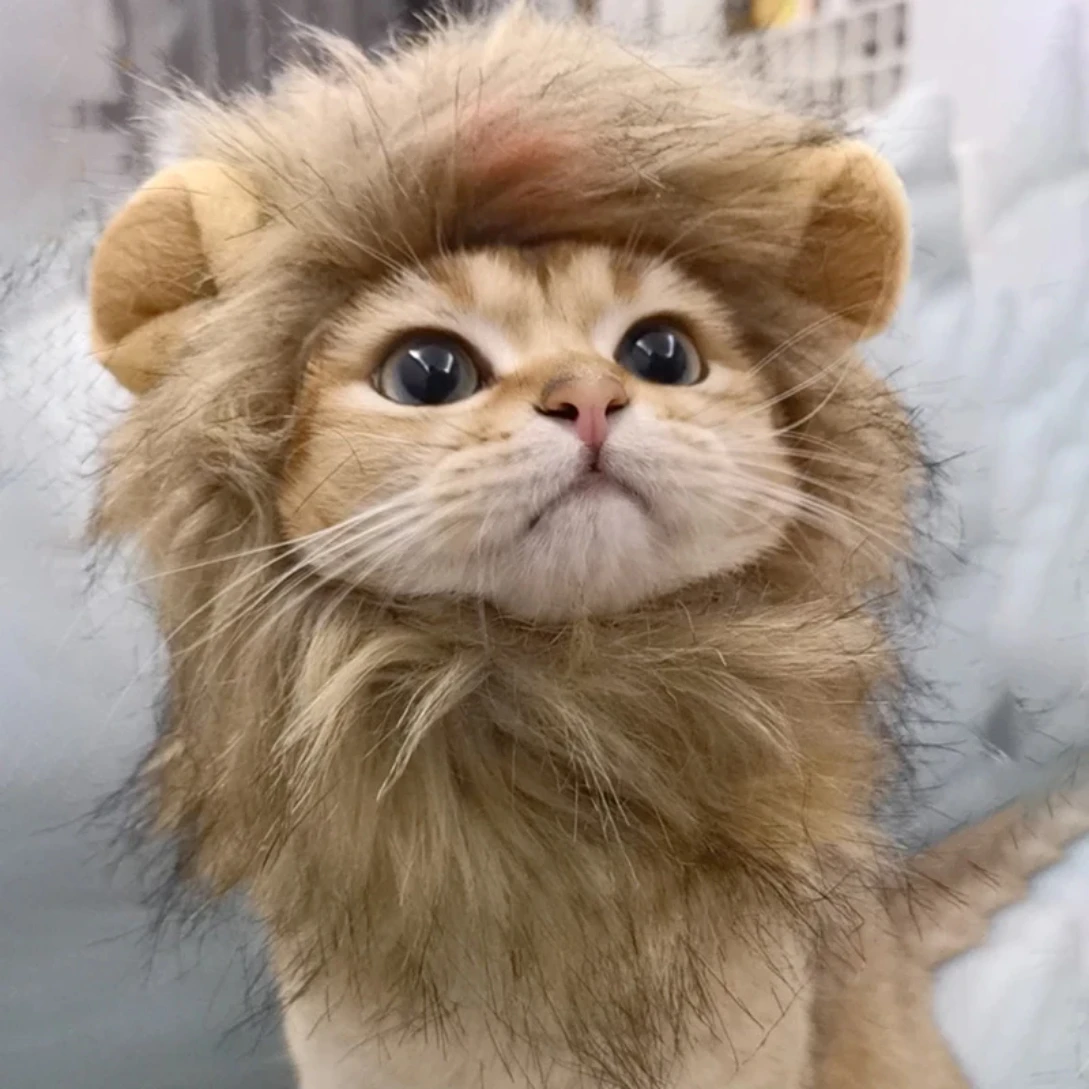 Женский головной убор Lion Mane для собак и кошек