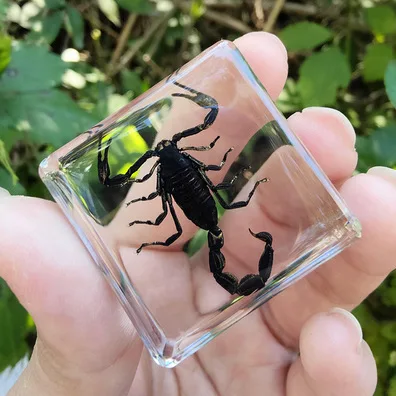 

Статуэтка из смолы с насекомым