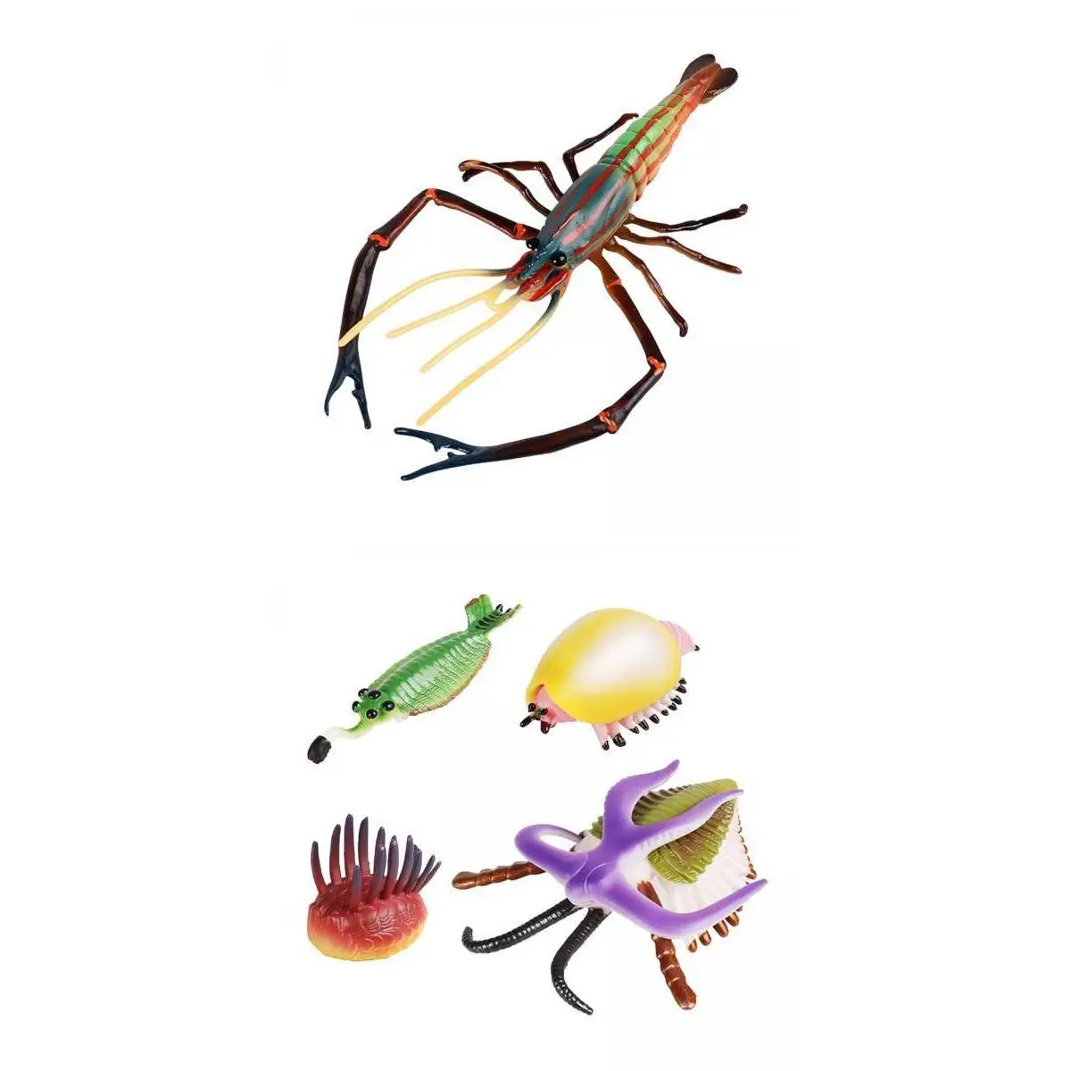 

Модель морских животных для проектов «сделай сам», 5 шт.