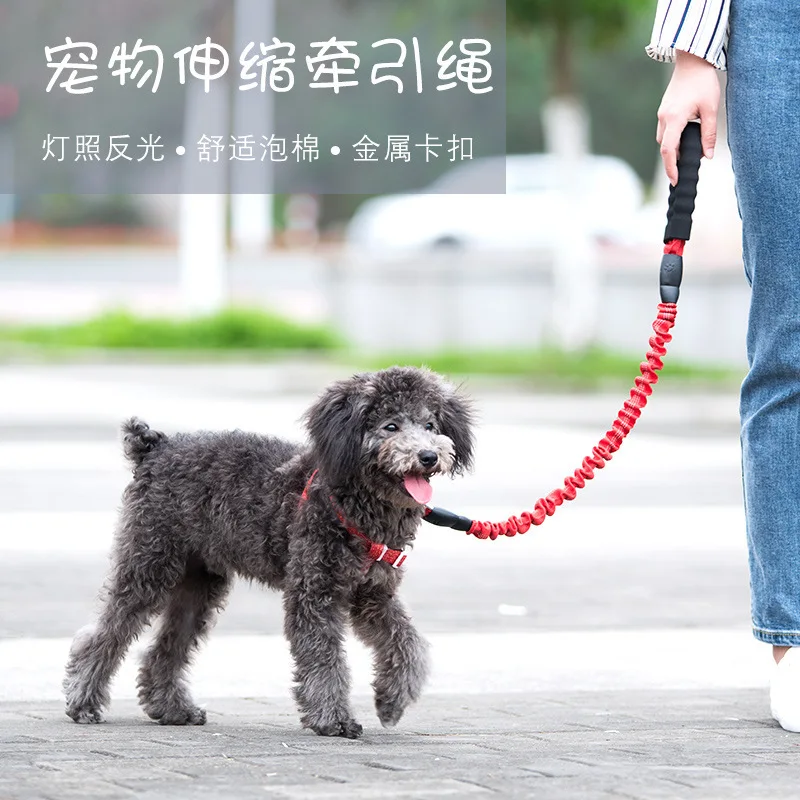 

Pet Hand Holding Rope Buffer Elastic Retractable Leash Hand Holding Rope Explosion-Proof Dog Traction Belt Dog Leash Dog Leash