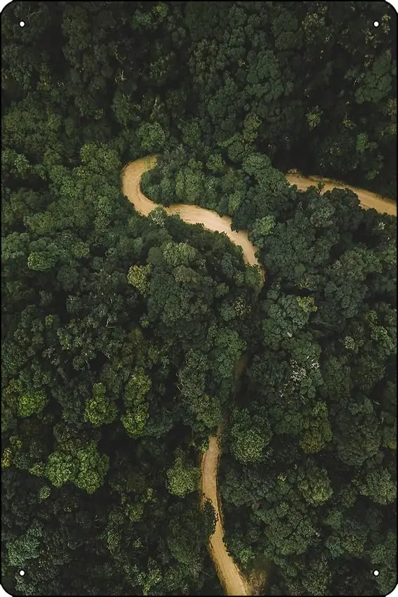 Тропический лес с рекой от дрона Художественная печать Забавный металлический