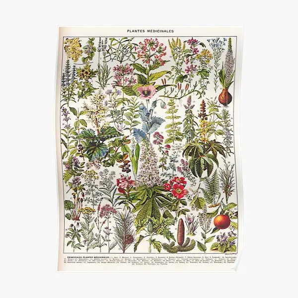 

Адольф миллот медицинские плакаты, постер, украшение, живопись, искусство, Настенный декор, фреска, Забавный принт, винтажная комната, картина без рамки