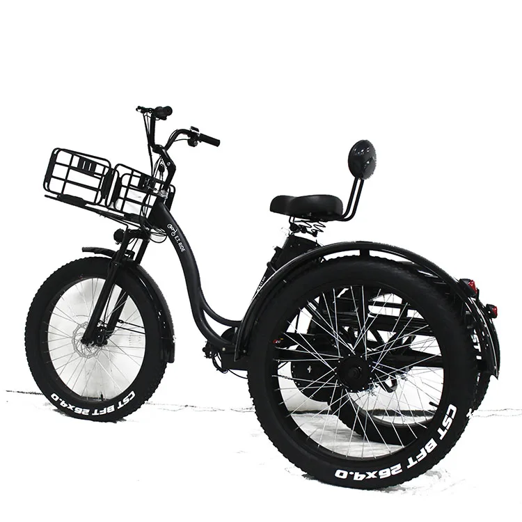 

EU marketing electric fat tire tricycle with rain roof newest high performance 36v 250w electric bike ,factory electric ebike