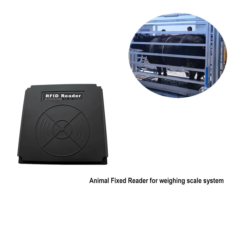 Фото ISO 11784/5 FDX-B EID-метка транспондер RS232 RS485 RFID фиксированный считыватель RFID для животных для крупного рогатого скота, фермеров, идентификация молочных коровов №2