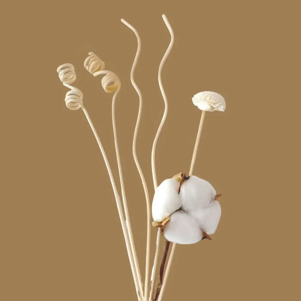 

Incense Supplies Replacement Reed Diffuser Fireless Vine Branch No Fire Aroma Diffuser Stick Flower Aromatherapy Rattan