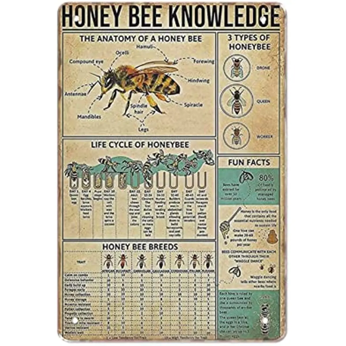 

Metal Tin Sign Vintage Honey Bee Knowledge Information About Bees Planing Kitchen Best Family for Home Living Room Office Hotel